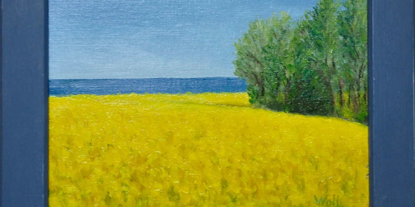 Ostsee-Rapsfeld